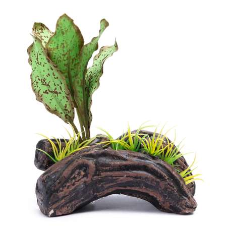 Распылитель PennPlax Растение на бревне Зеленый декоративный PS114