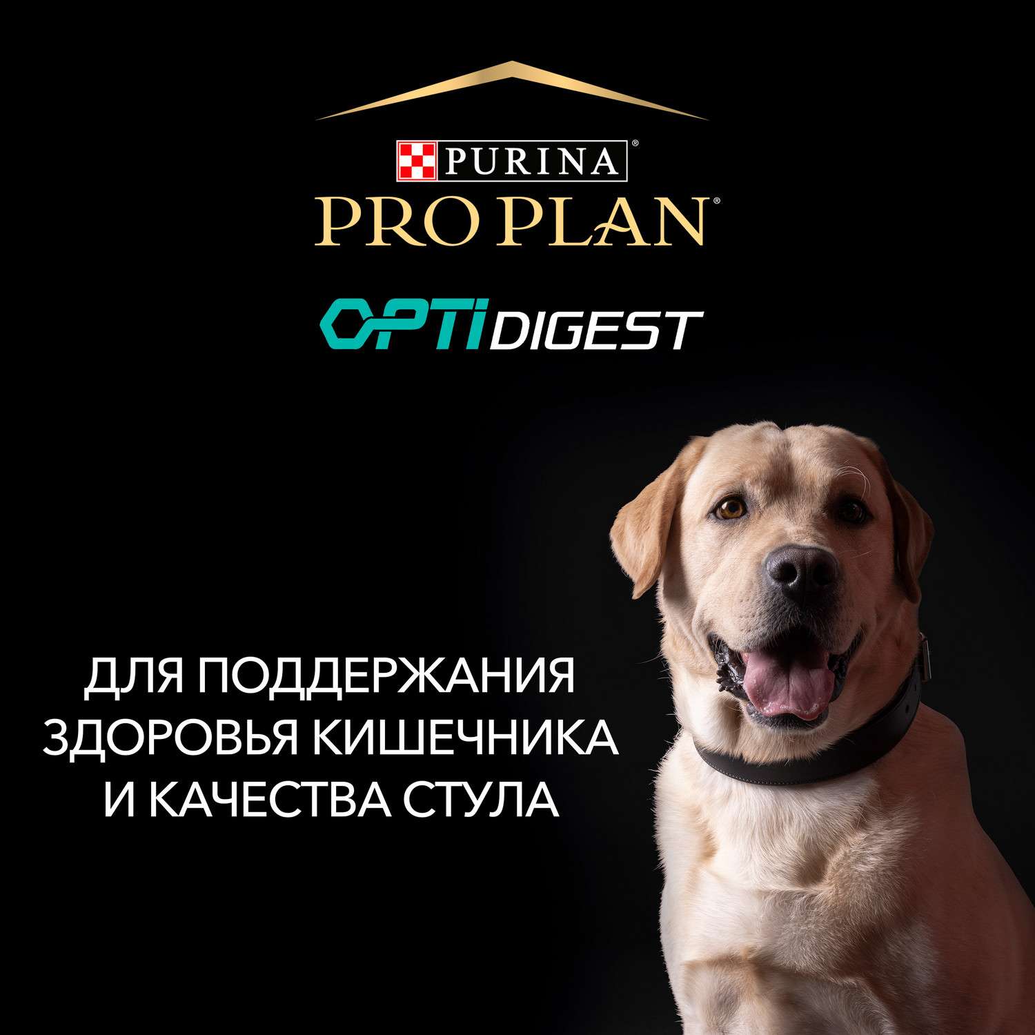 Корм для собак PRO PLAN средних пород с комплексом Optidigest с чувствительным пищеварением с ягненком 1.5кг - фото 6