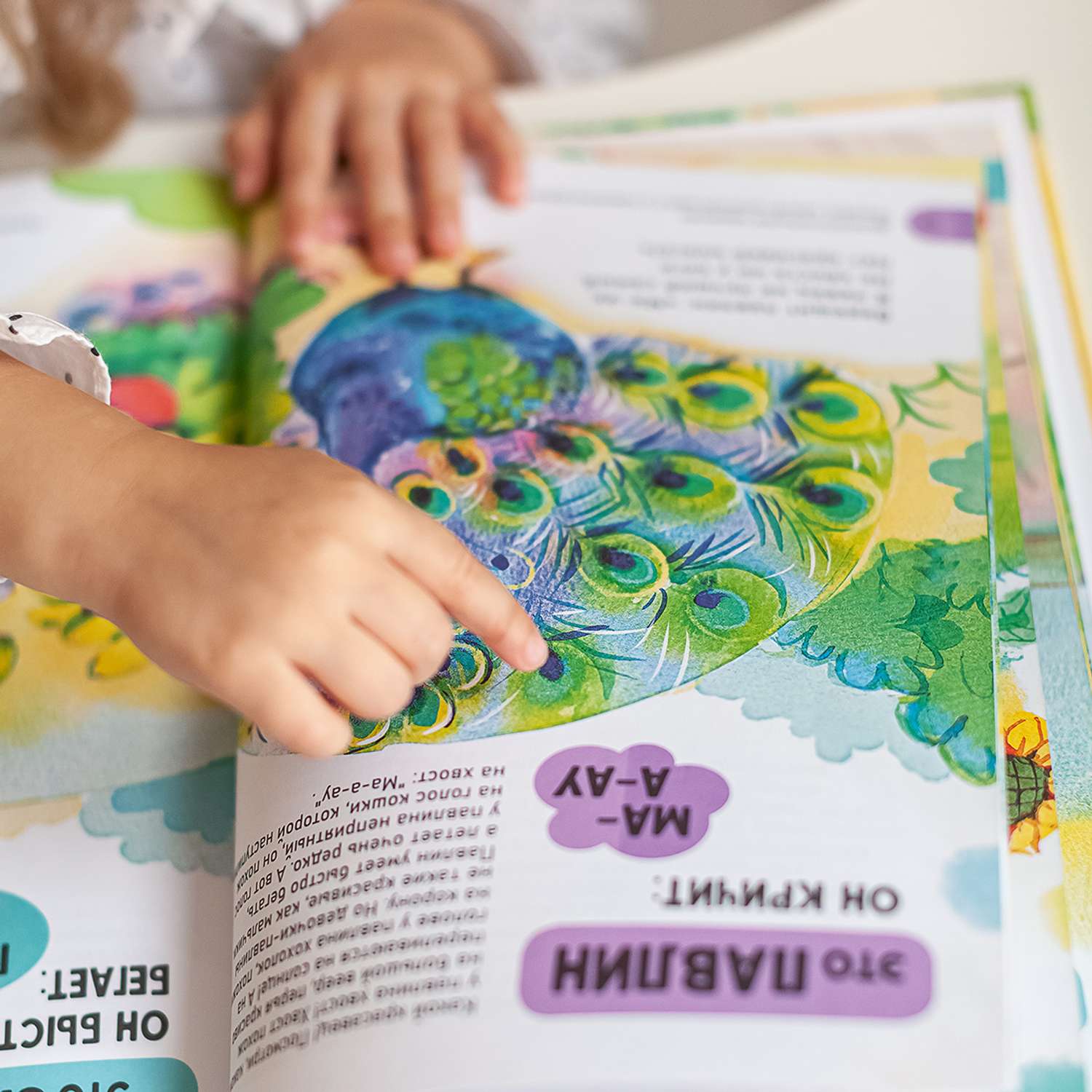 Книга LizaLand Развитие речи для малышей: от 1 года. - фото 12
