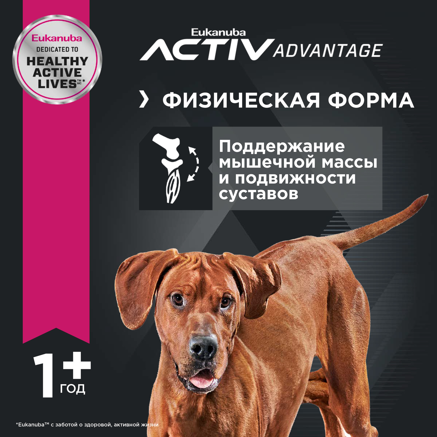 Сухой корм для собак Eukanuba 3 кг птица (полнорационный) - фото 4