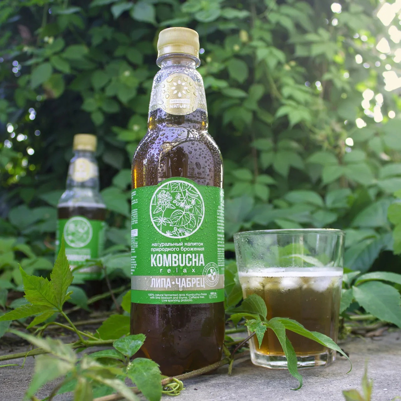 Комбуча Absolute Nature Kombucha-Relax с цветами липы и чабрецом 0.555 л. - фото 2