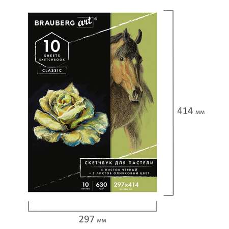 Альбом для пастели Brauberg 10 листов картон черный+оливковый