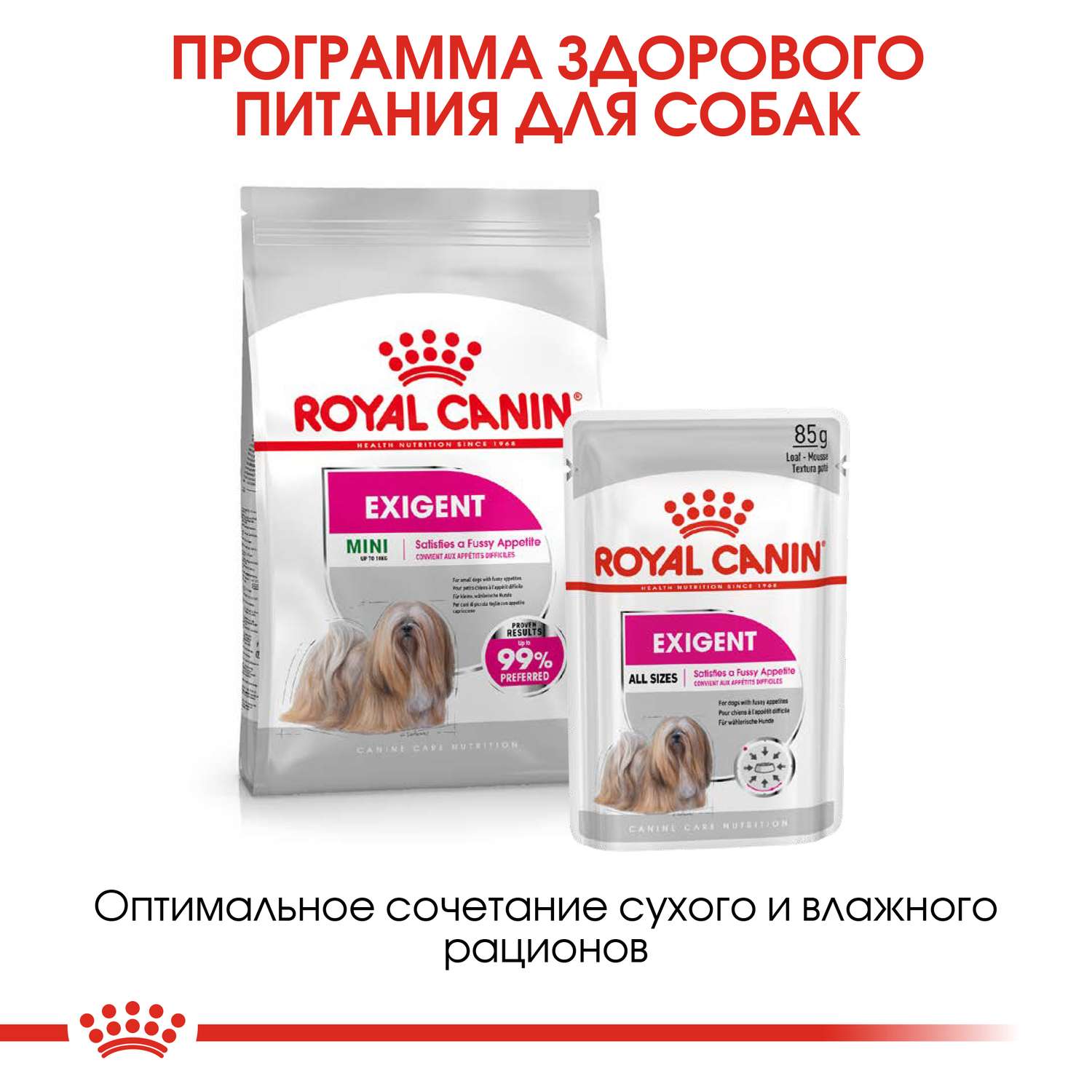 Корм для собак ROYAL CANIN Mini Exigent мелких пород привередливых в питании 3кг - фото 7