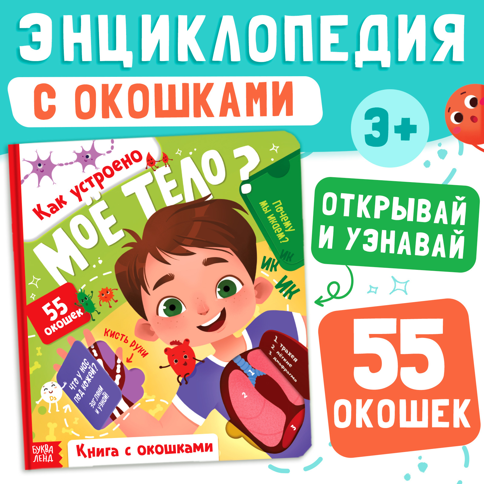 Энциклопедия с окошками Буква-ленд «Как устроено моё тело?», 55 окошек - фото 1