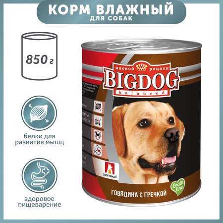 Корм для собак Зоогурман Big Dog 850г говядина с гречкой ж/б