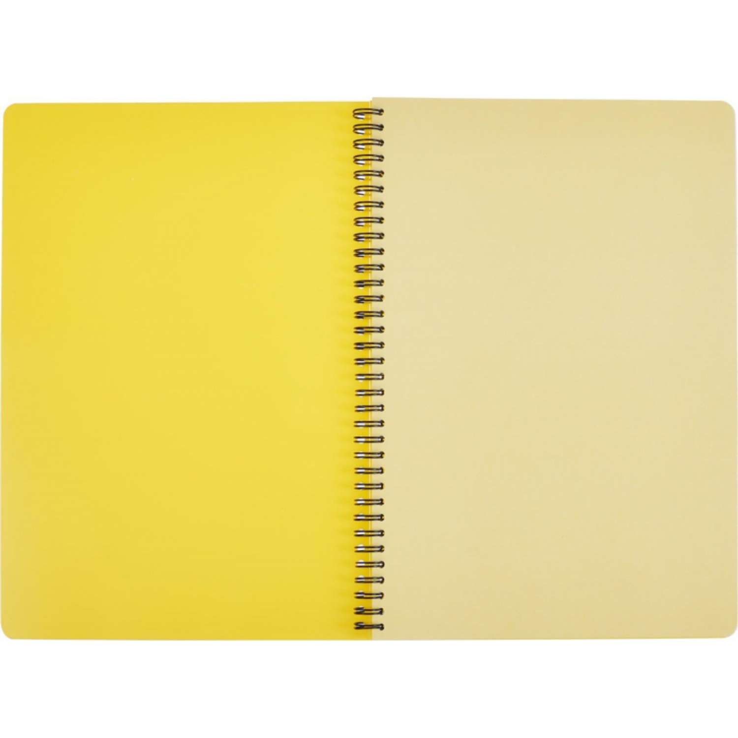 Бизнес-тетрадь Attache Bright colours А4 96 листов клетка спираль пластиковая обложка тонированный блок желтый - фото 3