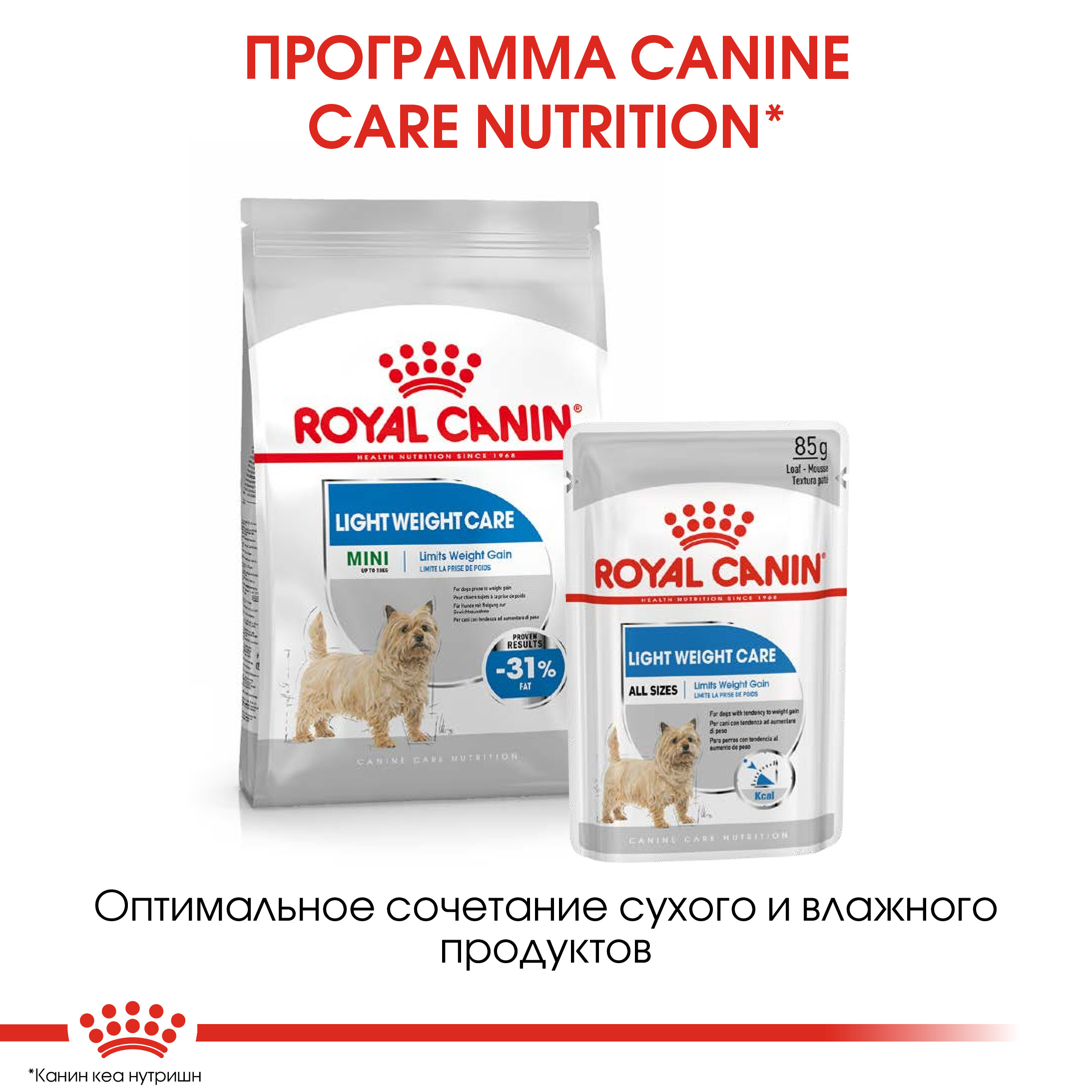 Корм для собак ROYAL CANIN Mini Light Weight Care мелких пород с избыточным весом 3кг - фото 8