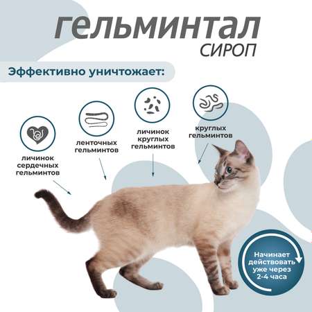 Сироп для котят и кошек Гельминтал до 4кг от внутренних паразитов 5мл