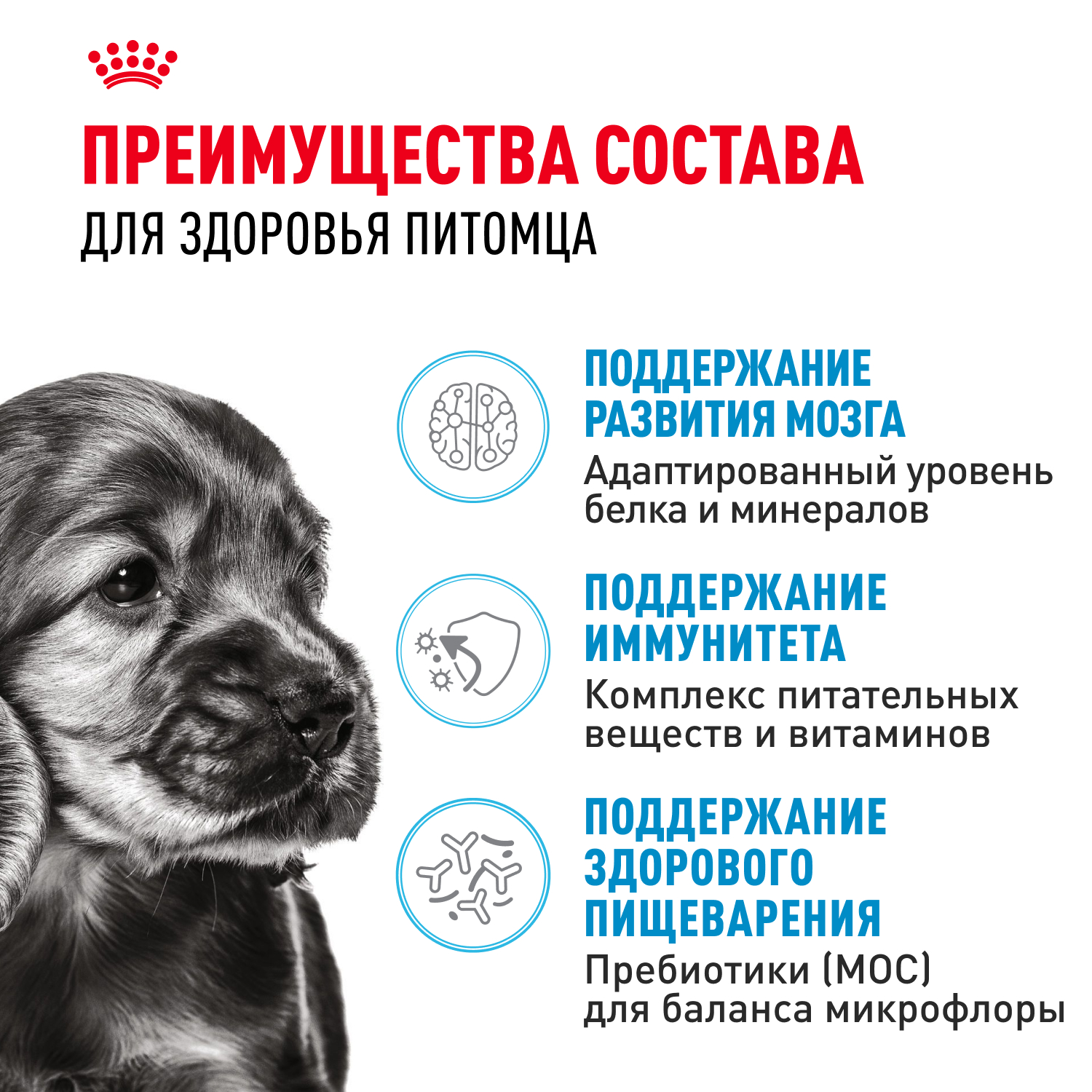 Сухой корм для собак ROYAL CANIN Puppy 4 кг птица (полнорационный) - фото 4