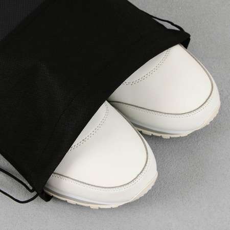 Сумка ArtFox STUDY для обуви T-REX нетканное полотно размер 41х31 см