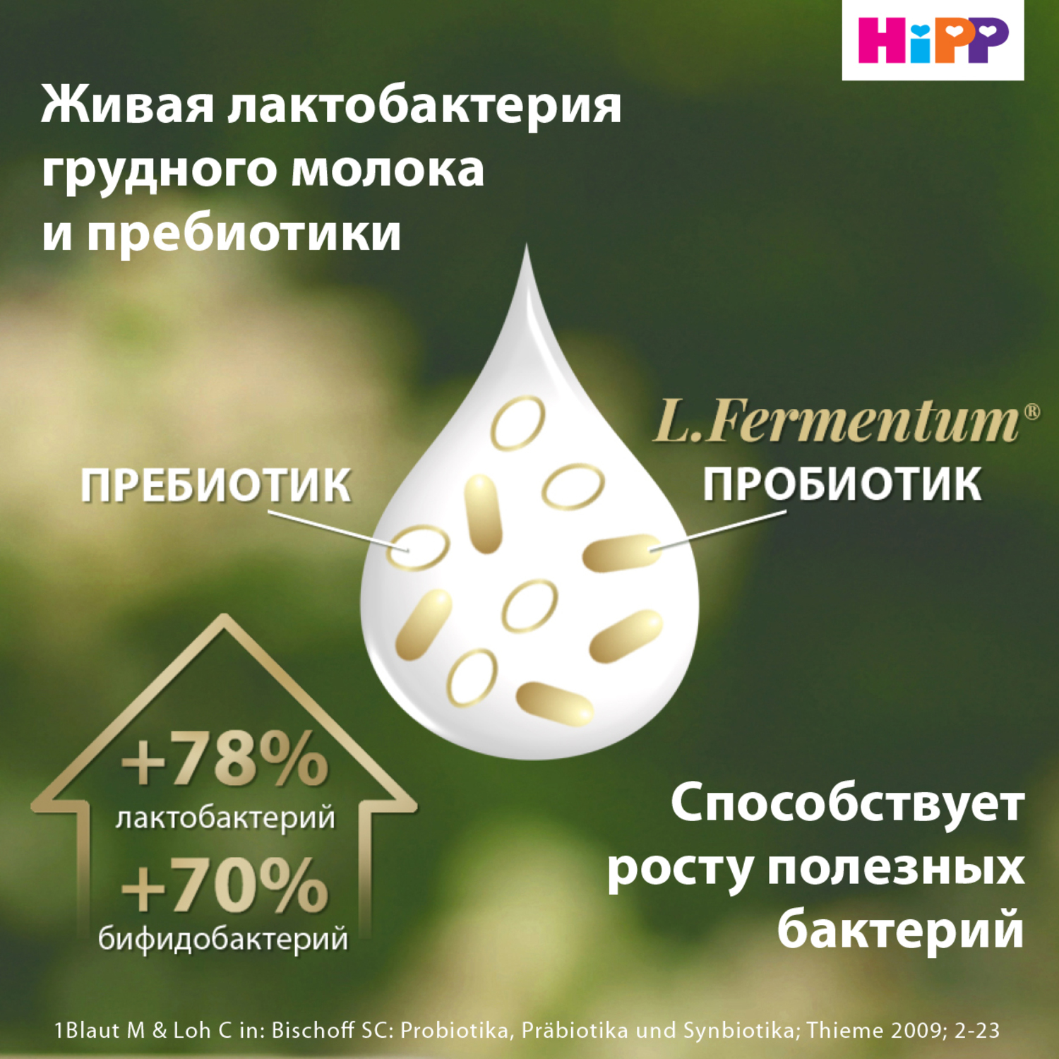 Смесь молочная Hipp 3 Combiotic 900г с 10месяцев - фото 4