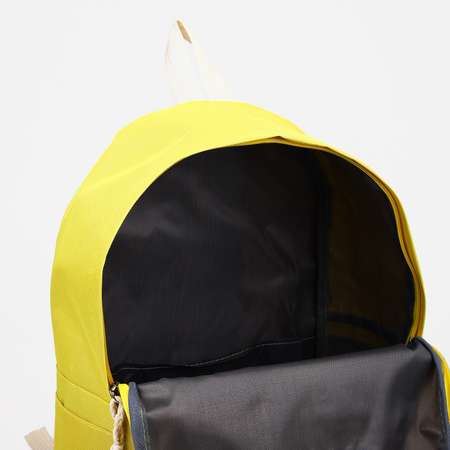 Рюкзак Sima-Land на молнии наружный карман в наборе косметичка пенал цвет жёлтый