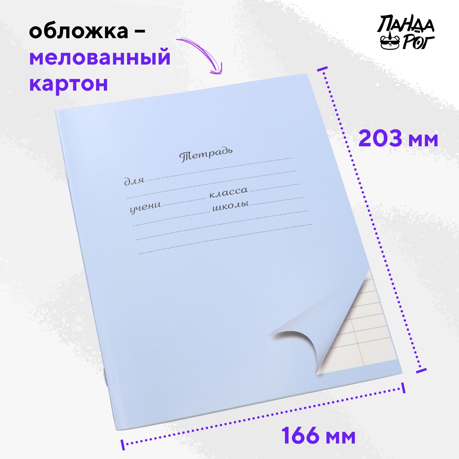 Тетради школьные в линейку ПАНДАРОГ широкую 12 л набор 10 шт картонная обложка голубые - фото 5