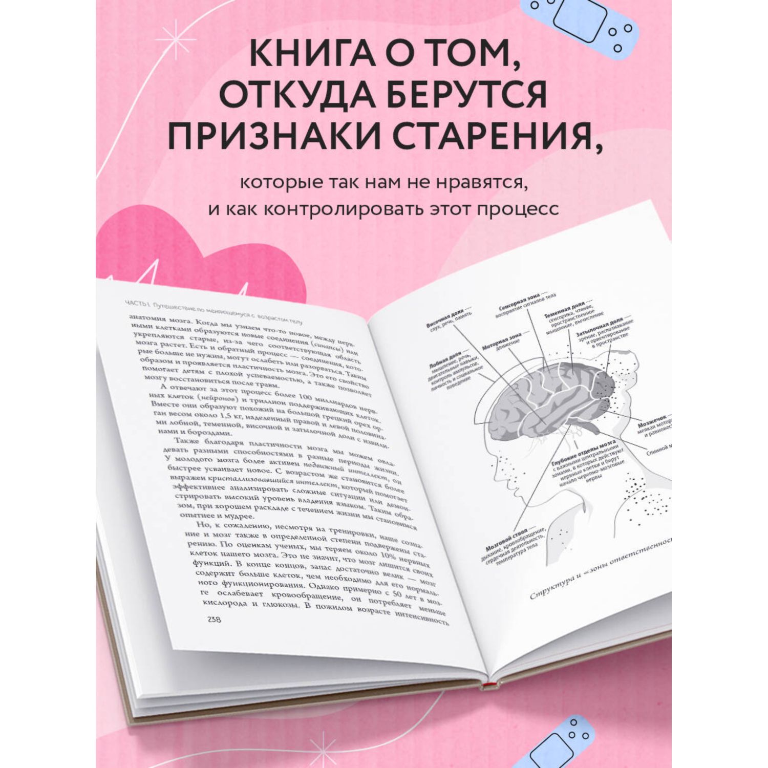 Книга БОМБОРА Годен до Распаковка секретов молодости которые отучат тело стареть - фото 2