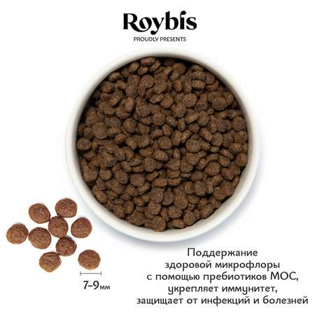 Корм для котят Roybis 0.4кг сухой с курицей полнорационный для активного роста и развития
