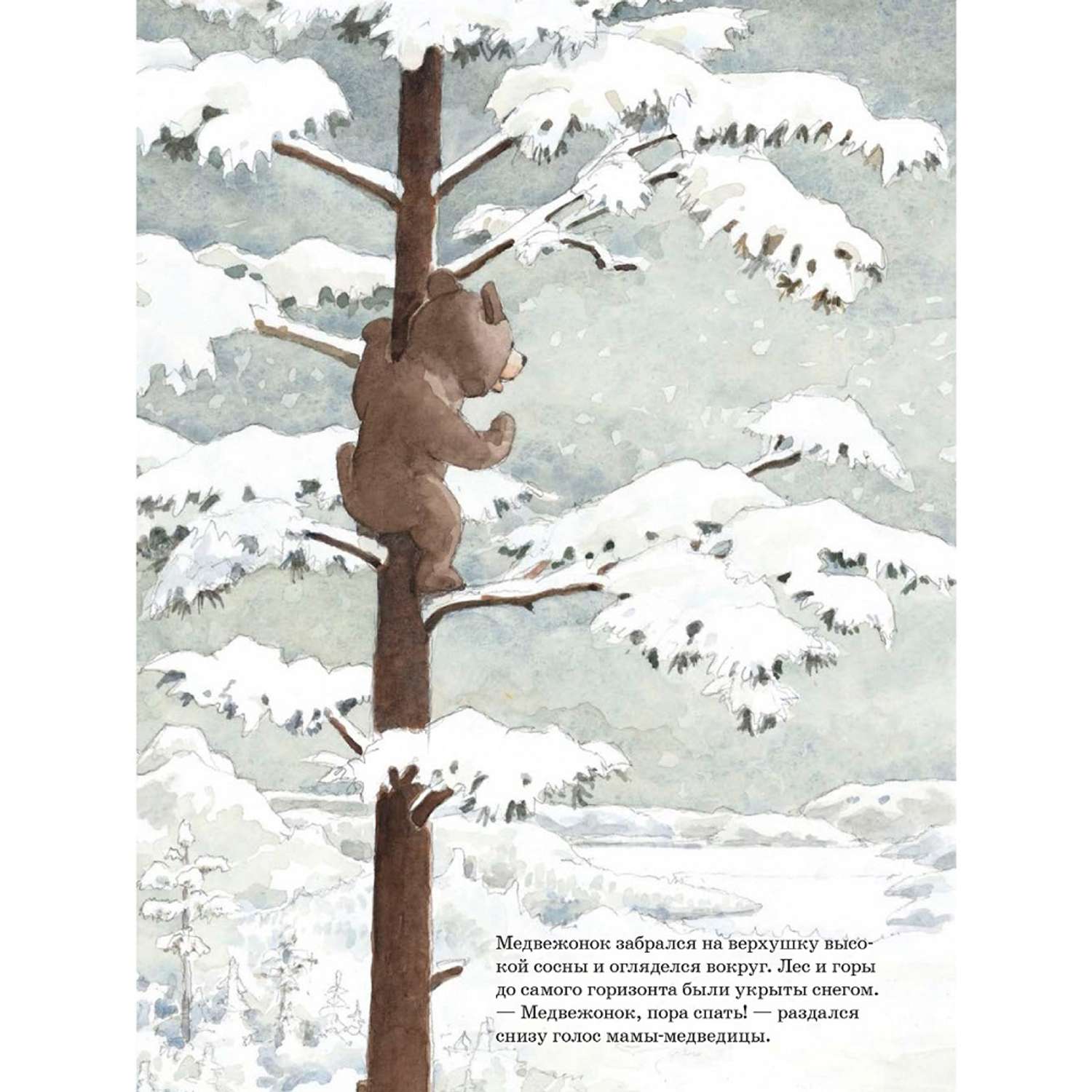 Книга Добрая книга Ложись спать медвежонок! Иллюстрации Яна Могенсена - фото 8