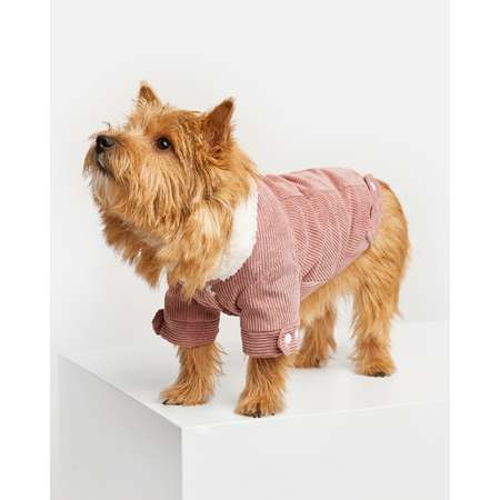 Куртка для собак Зоозавр розовая 25