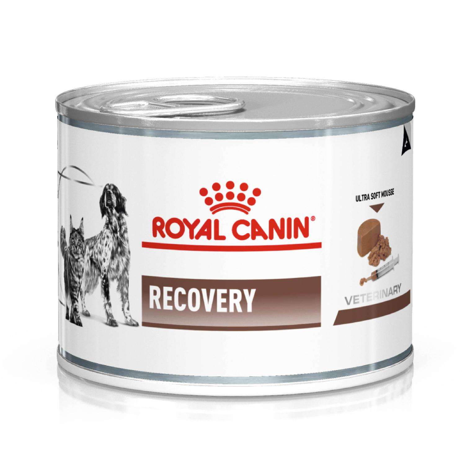 Корм для кошек-собак ROYAL CANIN Recovery Feline-Canine при анорексии 0.195кг - фото 1