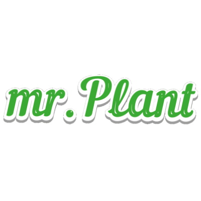 Mr.Plant