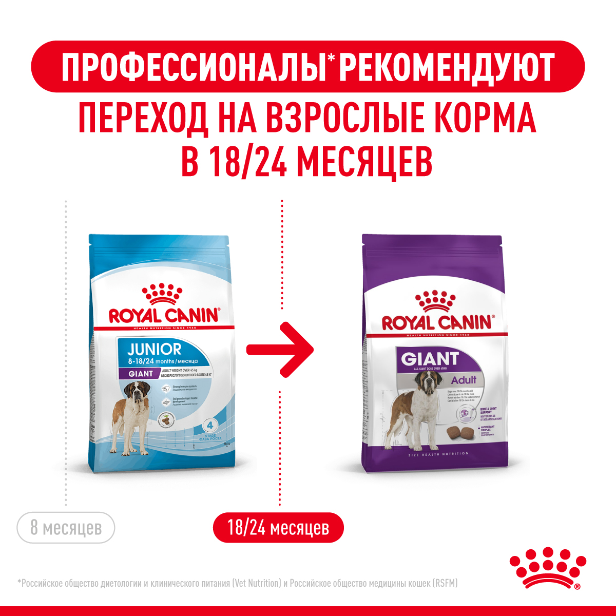 Сухой корм для собак ROYAL CANIN Junior 3.5 кг птица (полнорационный) - фото 11