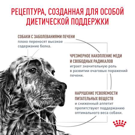Корм для собак ROYAL CANIN Hepatic HF16 при заболеваниях печени 12кг