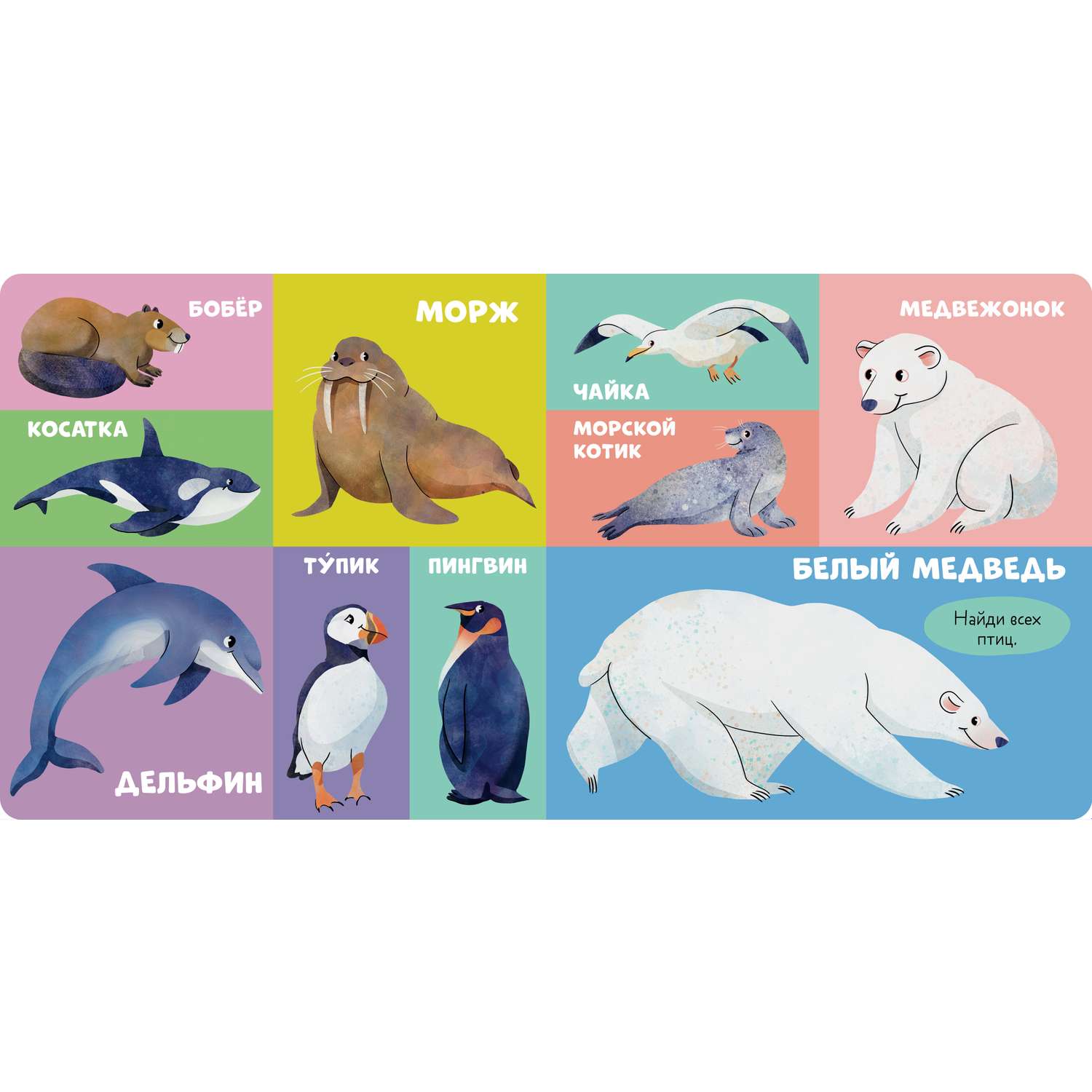 Книга Clever Издательство Книжки-картонки. 100 животных - фото 10