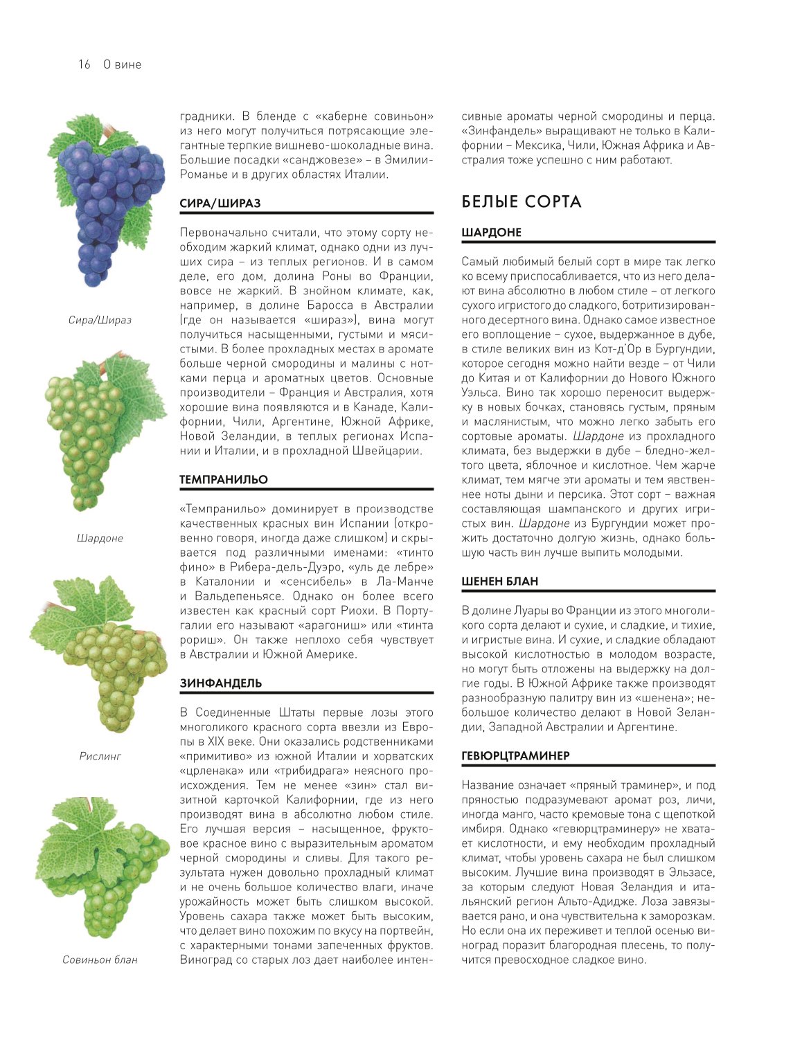 Книга ЭКСМО-ПРЕСС Мир вина. Вина сорта виноградники - фото 9