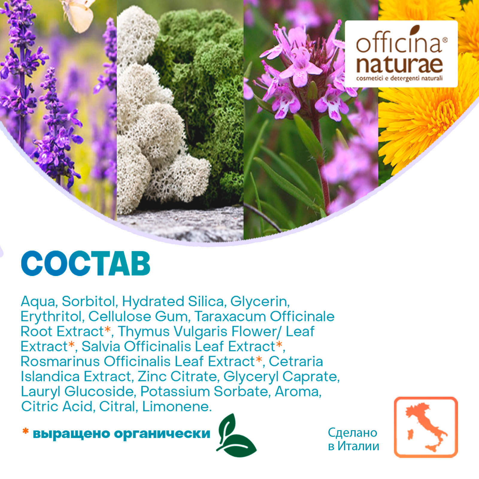 Зубная паста Officina Naturae Органическая без фтора со вкусом лимона для взрослых - фото 4