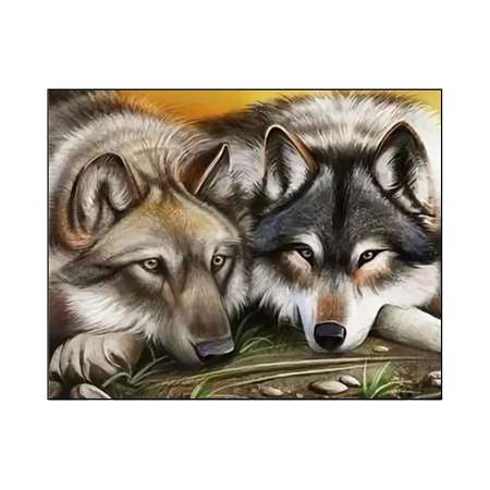 Алмазная мозаика Seichi Волк с волчицей 50х65 см