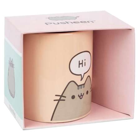 Кружка Pyramid Pusheen Coffee Mug 315 ml MG25065C