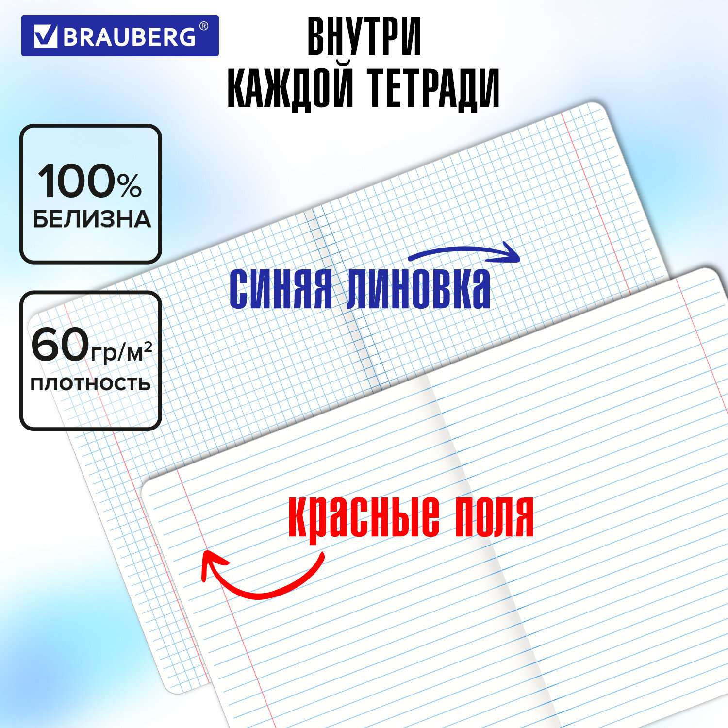 Тетради предметные Brauberg набор 48 листов в клетку и линейку 12 штук - фото 5