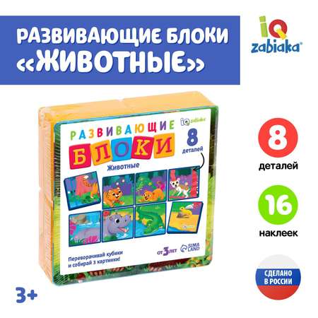 Настольная игра Соломон