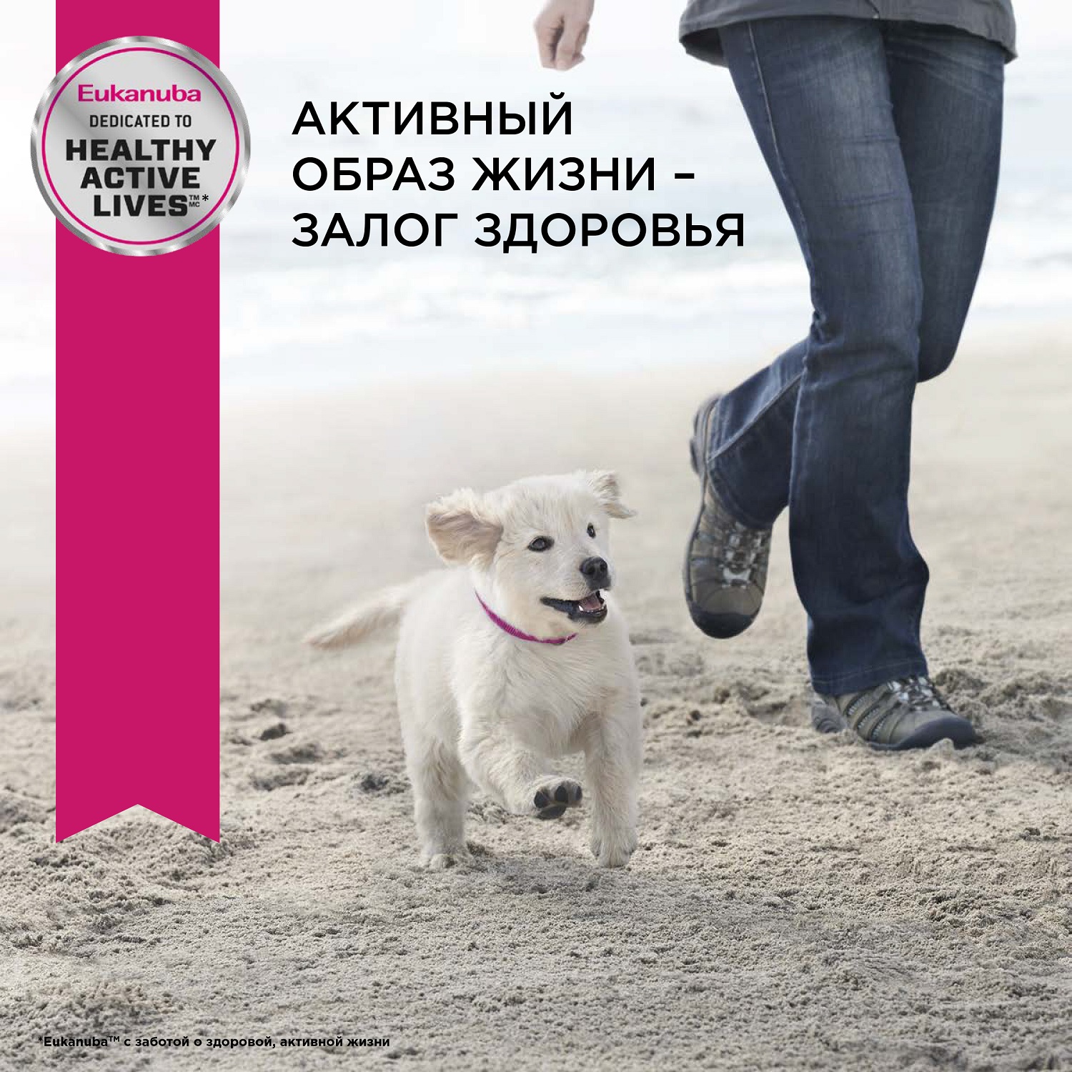 Корм Eukanuba Dog 3кг для щенков крупных пород сухой с птицей - фото 10