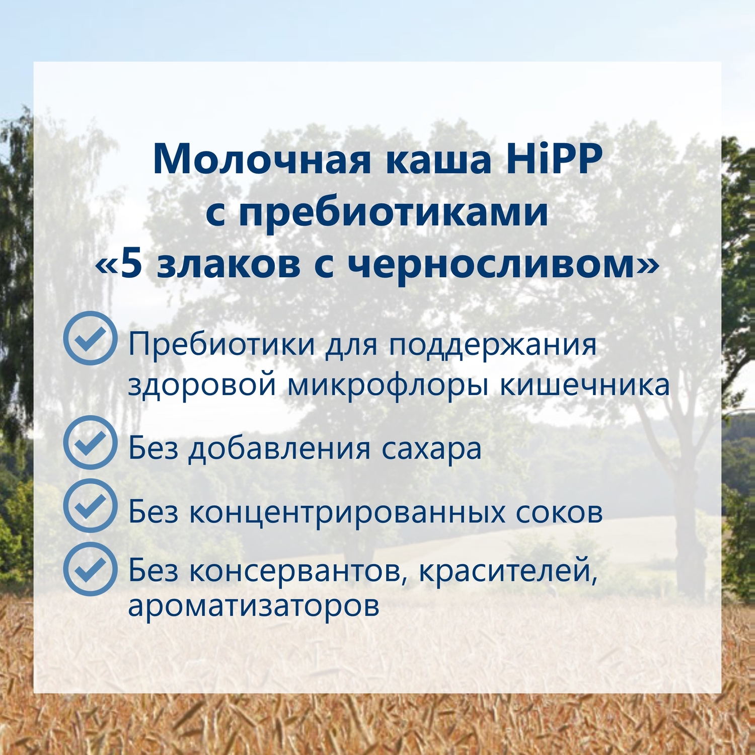 Каша молочная Hipp с пребиотиками злаки-чернослив 250г с 6месяцев - фото 4