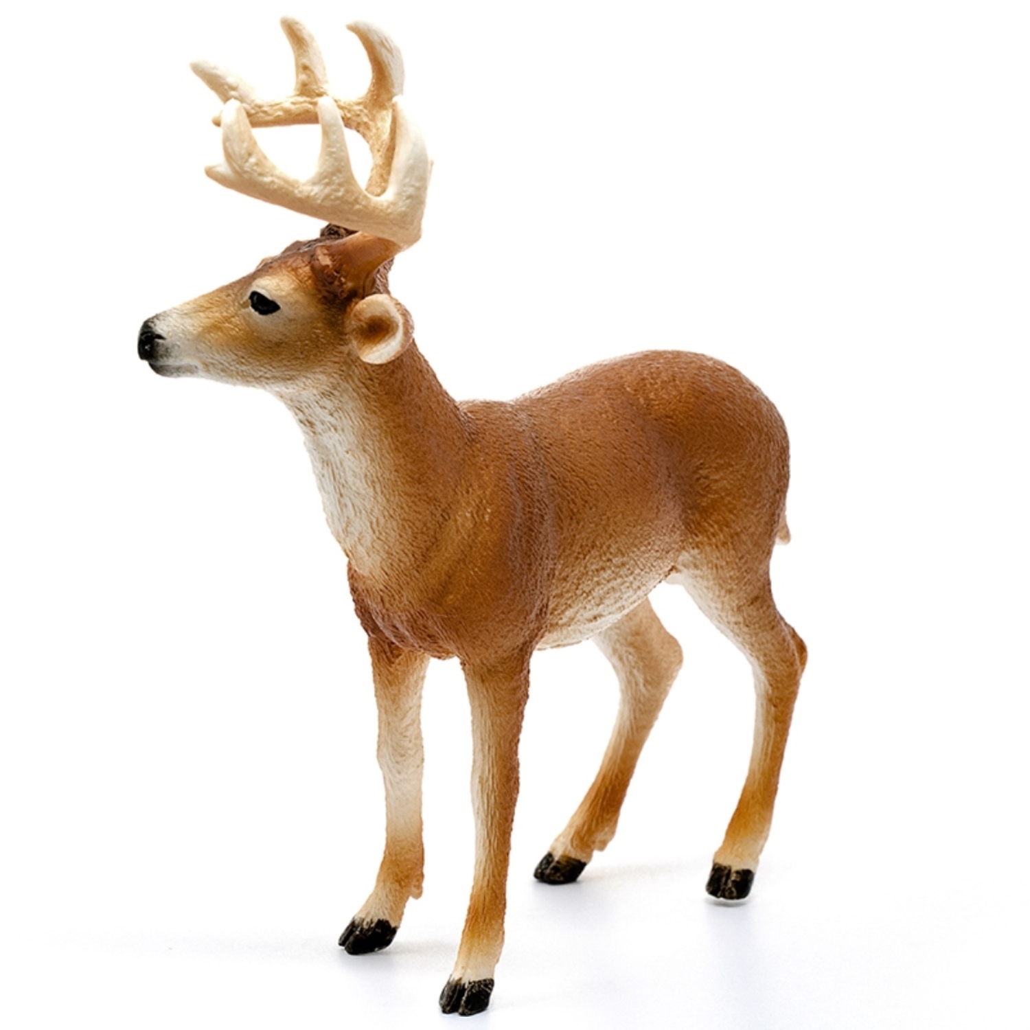 Фигурка SCHLEICH Белохвостый олень-самец 14818 купить по цене 599 ₽ в  интернет-магазине Детский мир