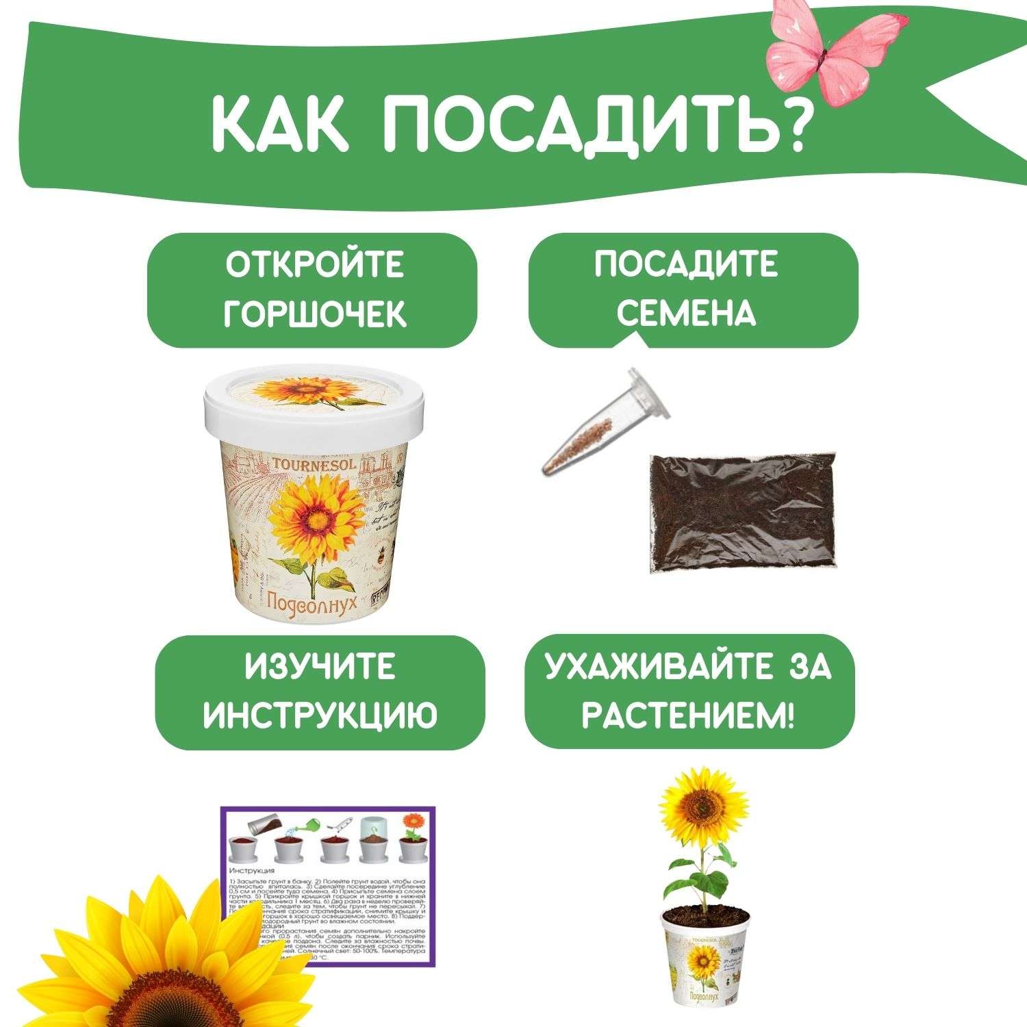 Набор для выращивания растений Rostok Visa Вырасти сам цветок Подсолнечник в подарочном горшке - фото 4