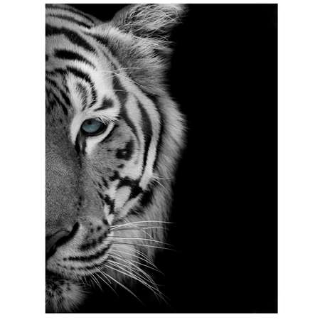 Картина на холсте LOFTime Тигр половинка 30*40