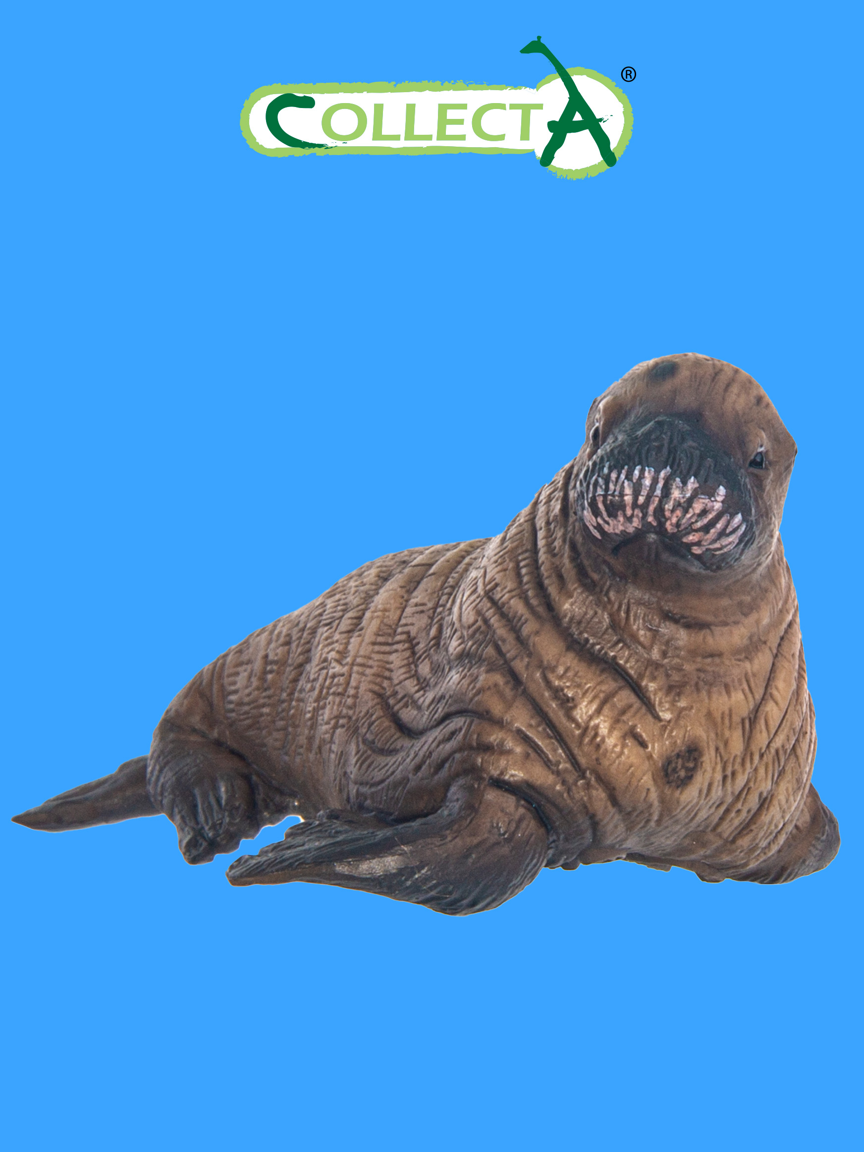 Игрушка Collecta Детёныш моржа фигурка морского животного - фото 1