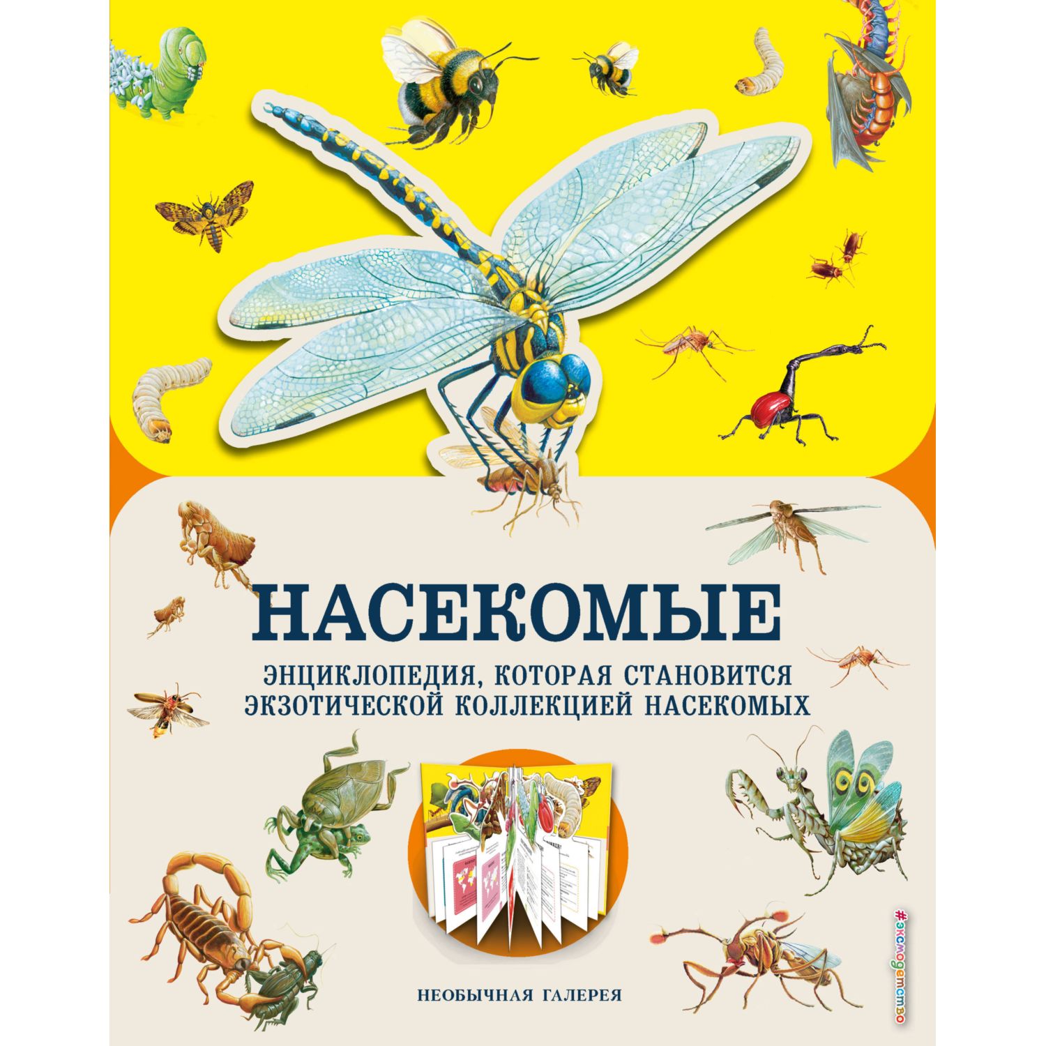 Книга ЭКСМО-ПРЕСС Насекомые купить по цене 1143 ₽ в интернет-магазине  Детский мир