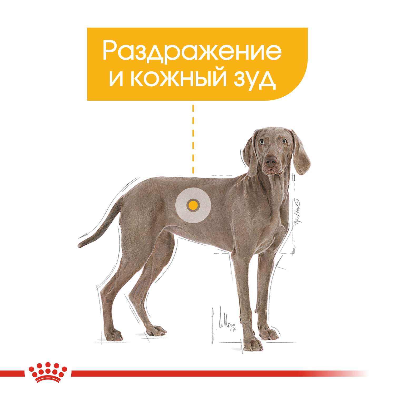 Корм для собак ROYAL CANIN Maxi Dermacomfort крупных пород склонных к кожным раздражениям и зуду 10кг - фото 4