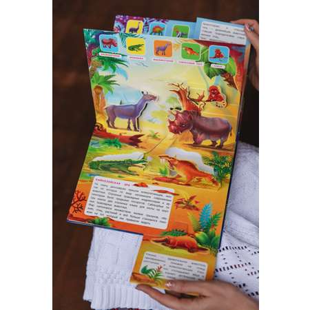 Книга с объемными картинками Malamalama Динозавры с объемными картинками