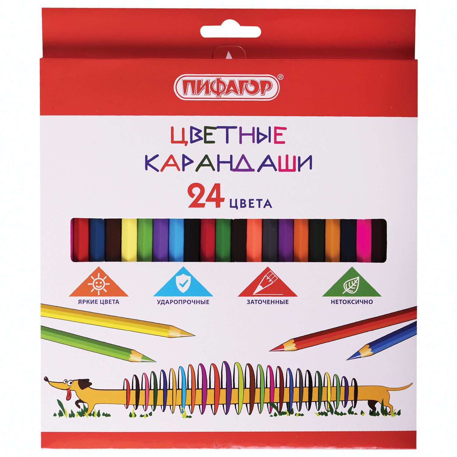 Карандаши цветные Пифагор для рисования набор 24 цвета деревянные заточенные - фото 1