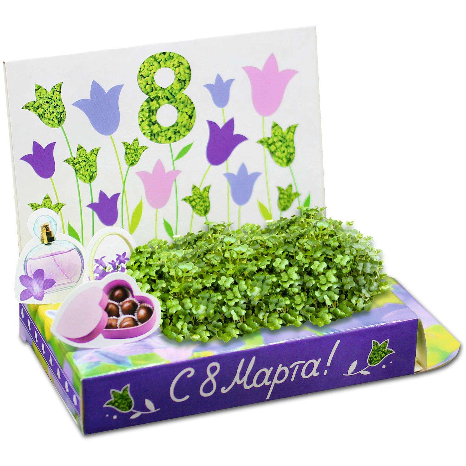 Набор для выращивания Happy Plant Вырасти сам микрозелень Живая открытка С 8 Марта! - фото 1