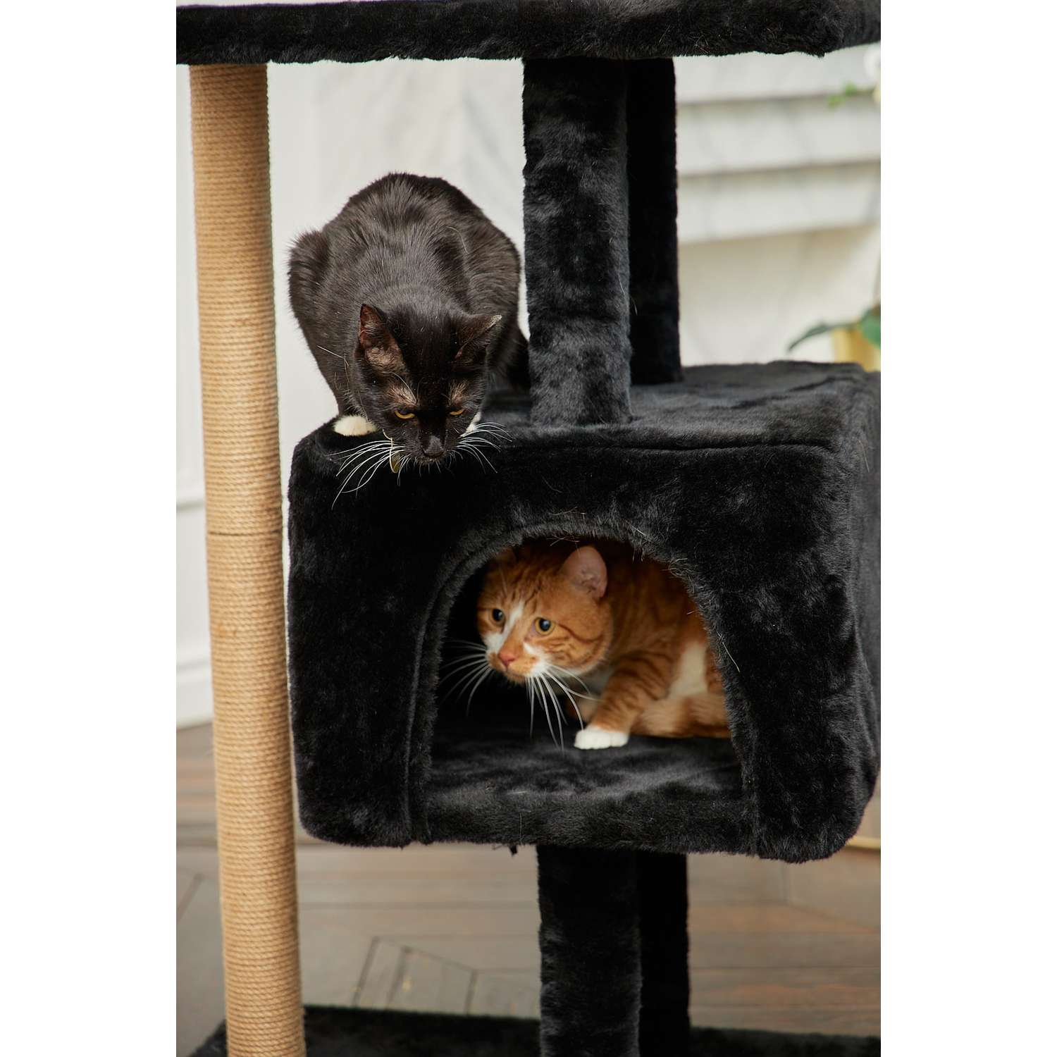 Игровой комплекс для кошек дом БРИСИ Черный - фото 11