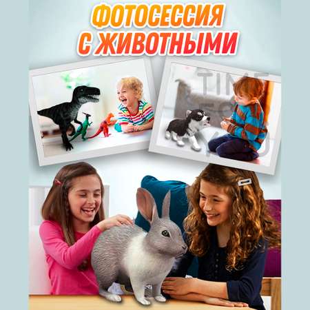 Настольная игра Time for you 4d smarty cards