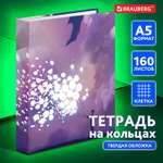 Тетрадь на кольцах Brauberg со сменным блоком для учебы А5 160 листов