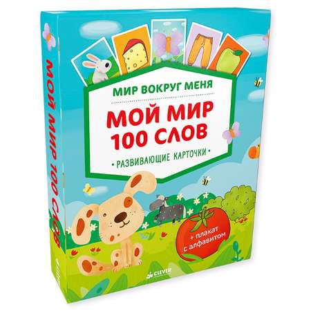 Книга Clever Мир вокруг меня Мой мир 100 слов