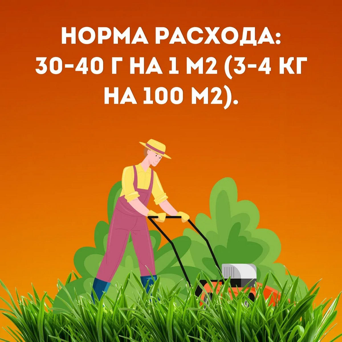 Семена газонных трав АгроСидсТрейд Лео и Тиг травосмесь универсальная зеленая лужайка 5 кг - фото 3