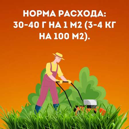 Семена газонных трав АгроСидсТрейд Лео и Тиг травосмесь универсальная зеленая лужайка 5 кг