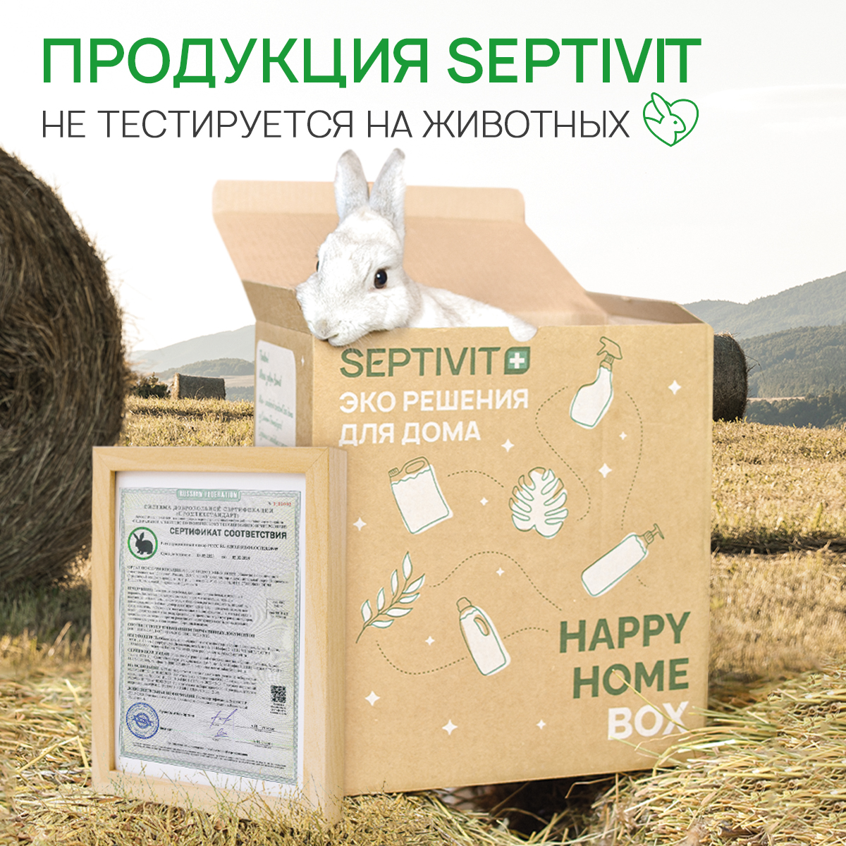 Средство для мытья посуды SEPTIVIT Premium Альпийская мята 1л - фото 11